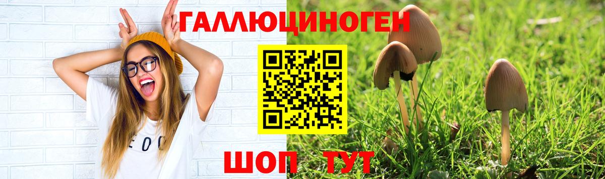 Галлюциногенные грибы мухоморы  Галлюциногенные грибы Psilocybe  Вход с VPN  Азнакаево 